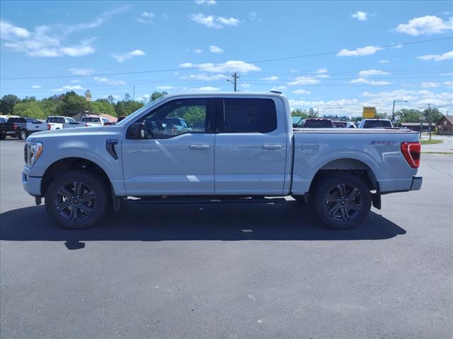 2023 Ford F-150 XLT - Photo 3