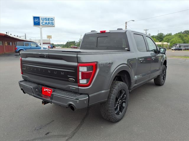 2023 Ford F-150 PLATINUM - Photo 6
