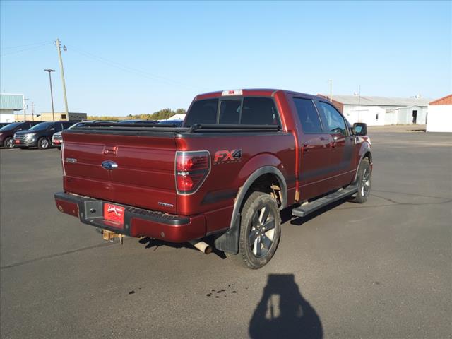 2014 Ford F-150 FX4 - Photo 6