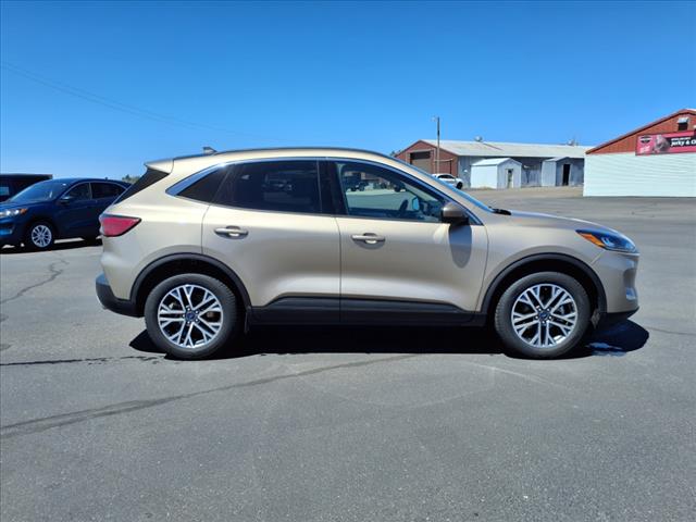 2020 Ford Escape SEL AWD - Photo 7