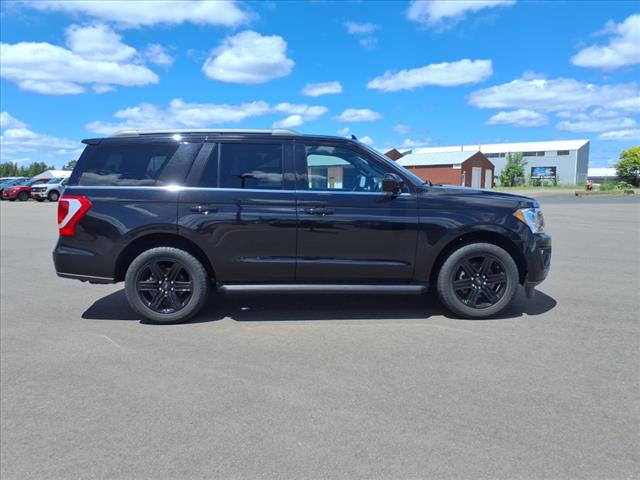 2021 Ford Expedition XLT 4x4 - Photo 7