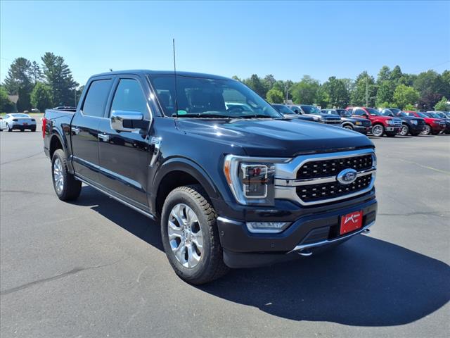 2023 Ford F-150 PLATINUM - Photo 8