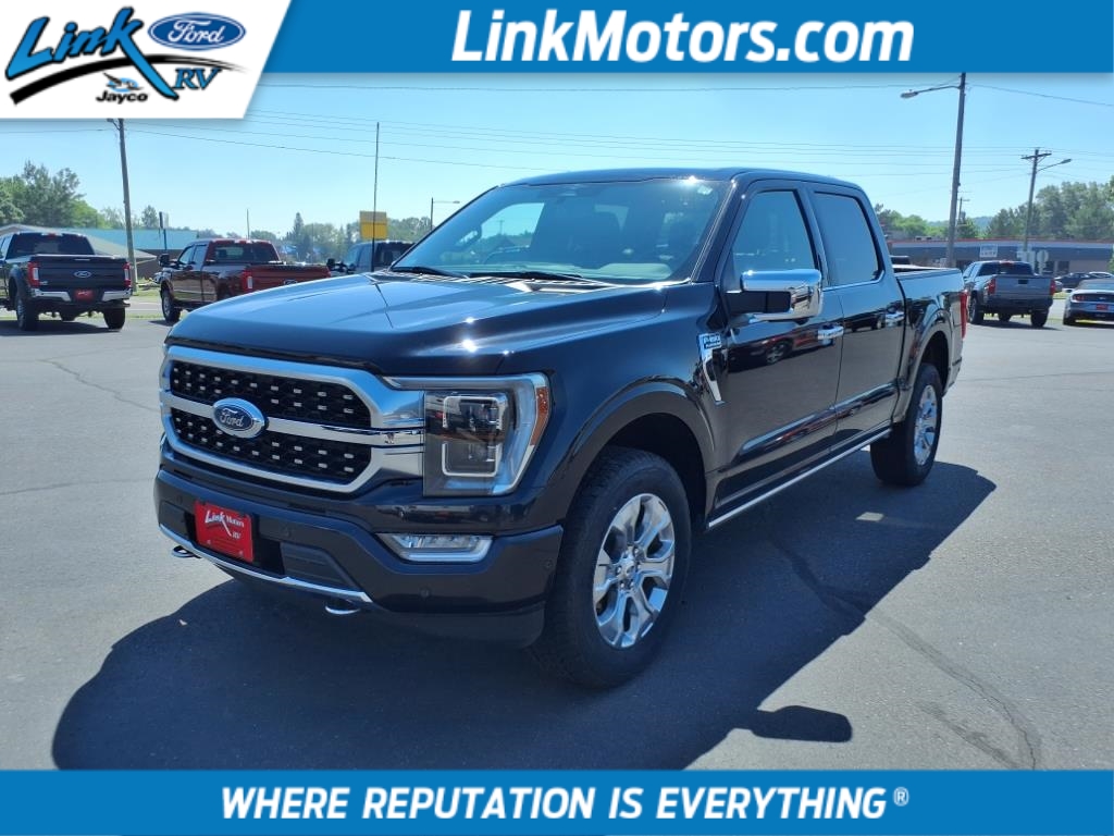 2023 Ford F-150 PLATINUM - main photo