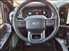 2023 Ford F-150 PLATINUM - thumbnail 23