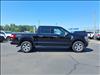 2023 Ford F-150 PLATINUM - thumbnail 7