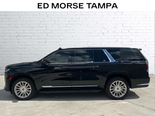 used 2024 Cadillac Escalade ESV car, priced at $98,754