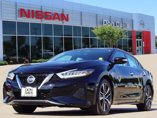 used 2019 Nissan Maxima car